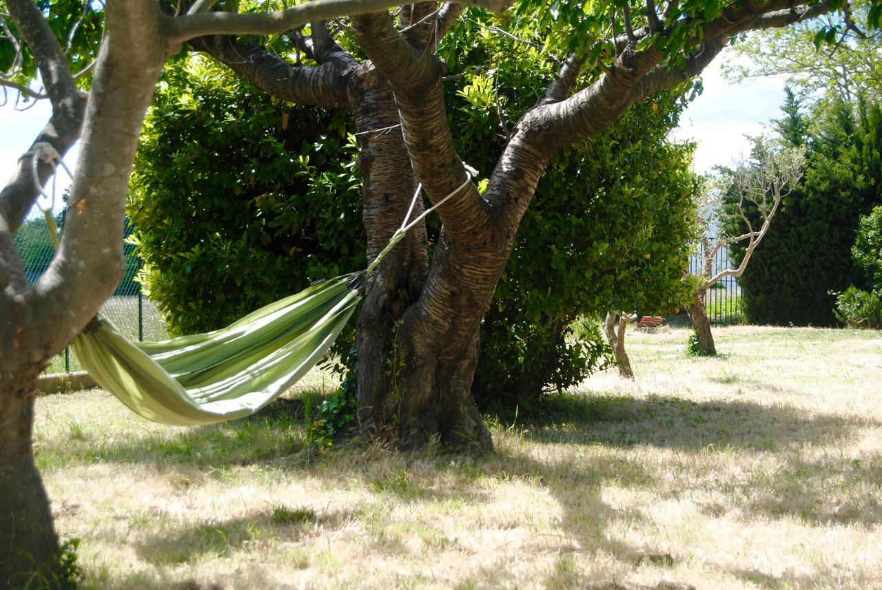 Le Mas Marguerite Arles Exterior foto