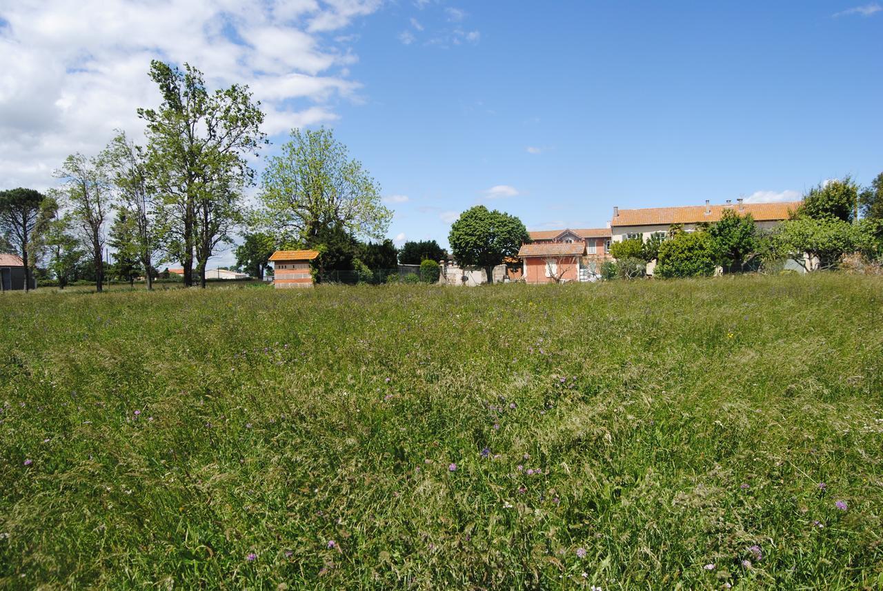 Le Mas Marguerite Arles Exterior foto